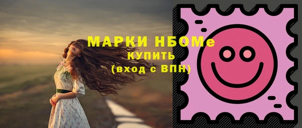 гидра Саки