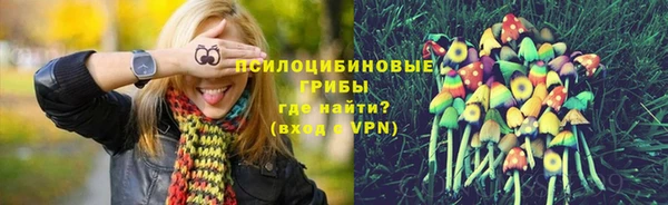 кокс Ладушкин