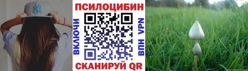Псилоцибиновые грибы GOLDEN TEACHER  даркнет сайт  Крым 